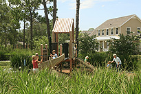 Doc Brittle Commons, a Certified Florida-Friendly Park through the Florida Yards & Neighborhood Program