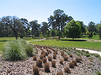 On Top of the World's Arbor Club Golf Course Xeriscaping